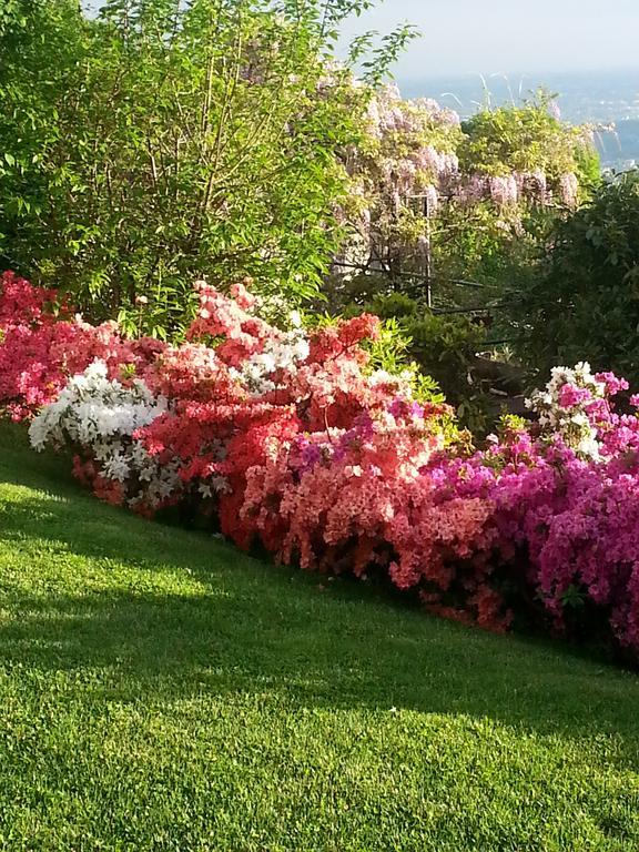 Casa Vacanze Le Violette Villa Brunate Kültér fotó