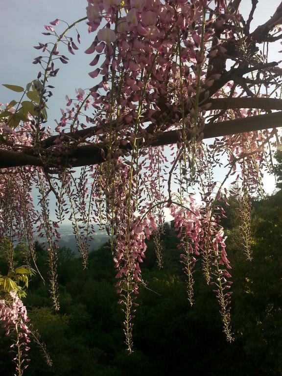 Casa Vacanze Le Violette Villa Brunate Kültér fotó